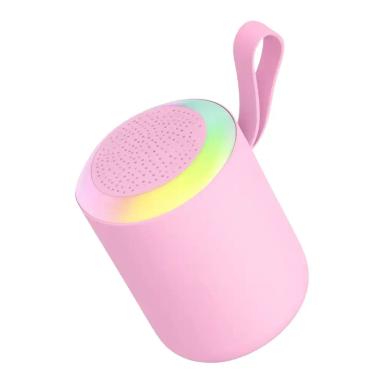  Speaker SH313 NDA-M06 –Rosa